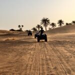 Tour de 4 Días al Desierto