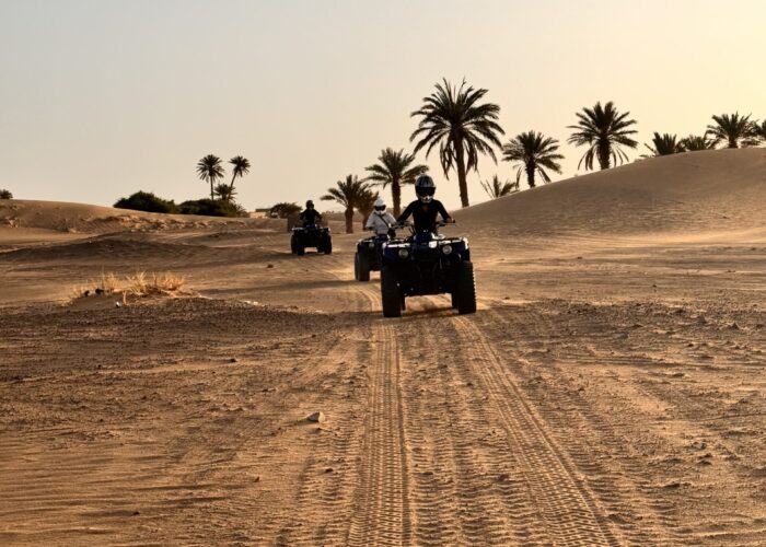 Tour de 4 Días al Desierto